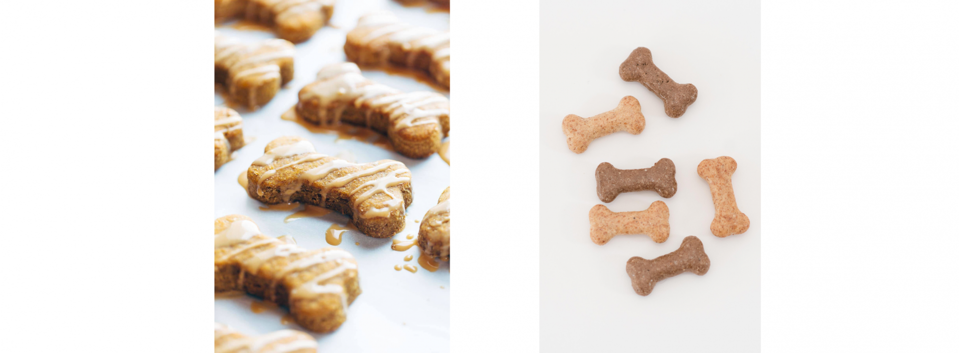 Easy Dog Treats You Can Make With The Kids This Weekend Beenyup Grove