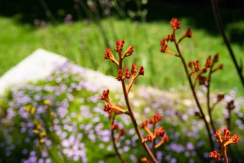 Beenyup Grove Blog Photos e1703119270719