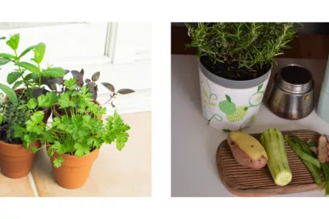 Blog photo template 2023 02 28 T093606 306