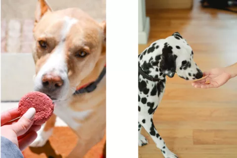 Blog photo template 2022 11 07 T155448 538