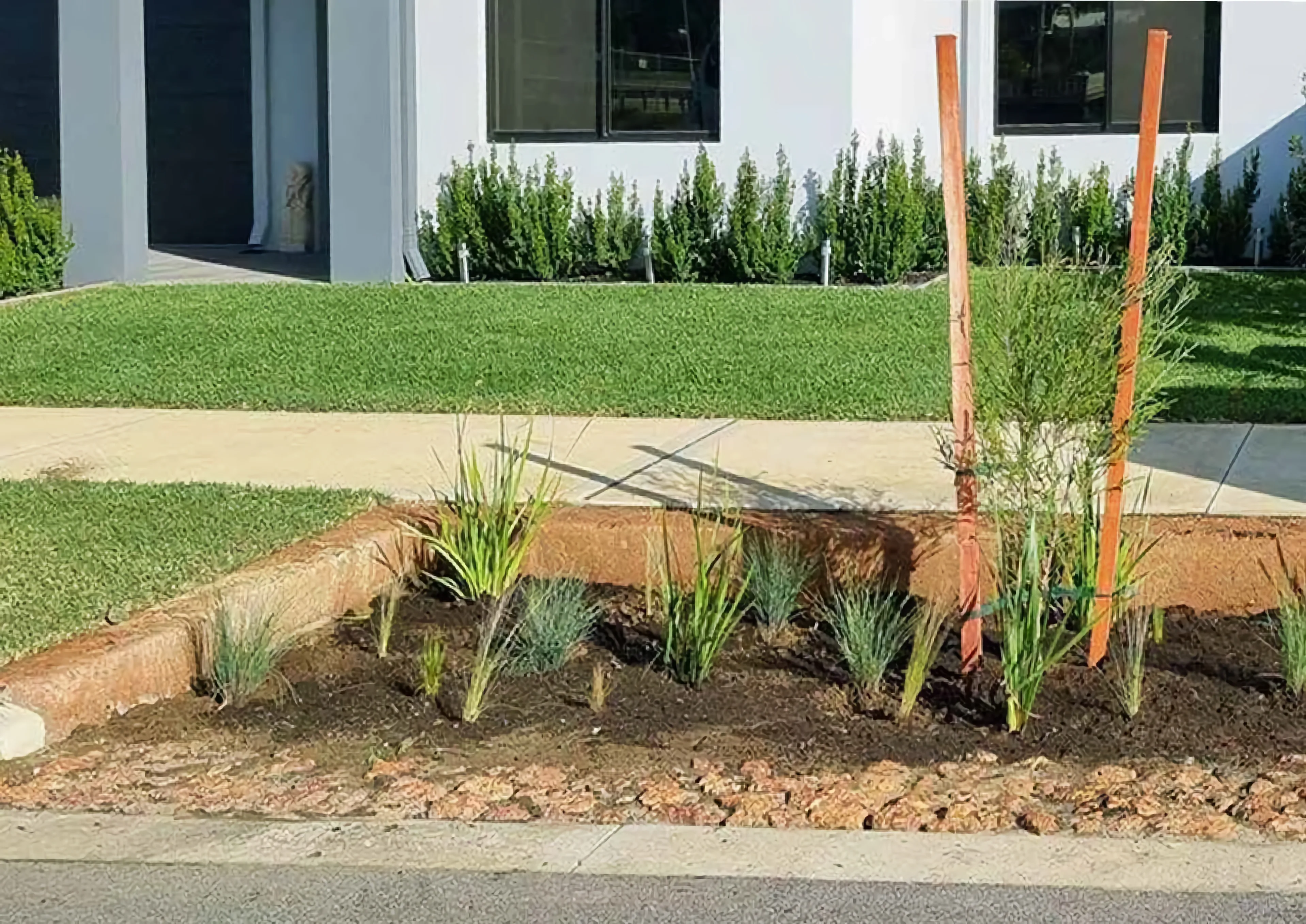 Raingarden